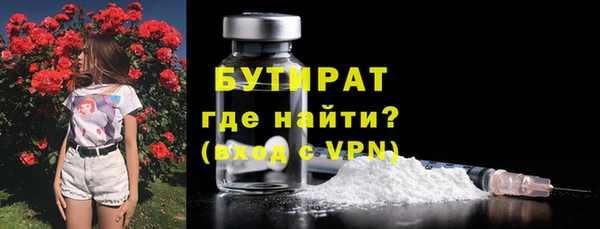 индика Богданович