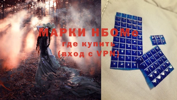 индика Богданович