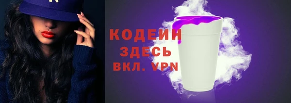 индика Богданович