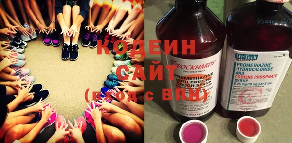 индика Богданович