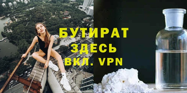 индика Богданович