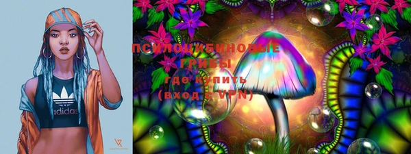 индика Богданович
