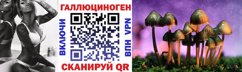 цены   Ишим  нарко площадка какой сайт  Псилоцибиновые грибы прущие грибы 
