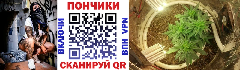 сколько стоит  Ишим  Марихуана AK-47 